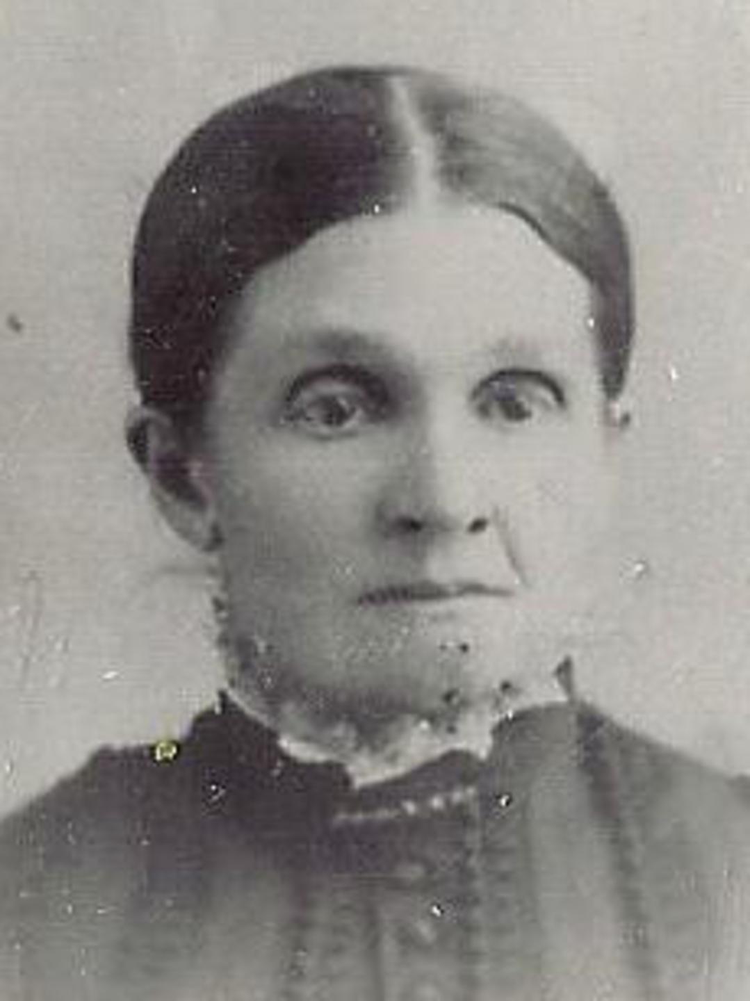 Polly Elvira Benson (1839 - 1928) Profile